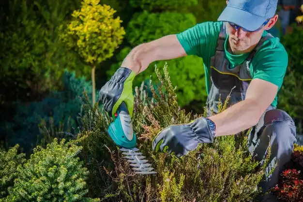 landscaping services Millbrook